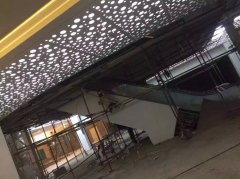 Zhaoqin Market Ceiling